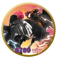 6789 vip